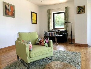 Televisión, chimenea, reproductor de DVD y libros 