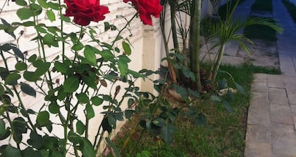 El Prado Hotel