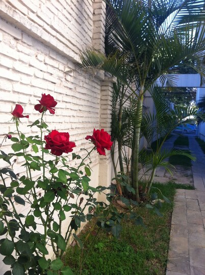 El Prado Hotel