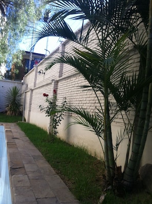 Jardí