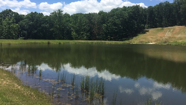 A calm lake surrounded by dense forest and a clear sky.