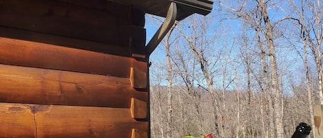 Tina de hidromasaje al aire libre