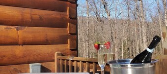 Wild Vines Log Cabin