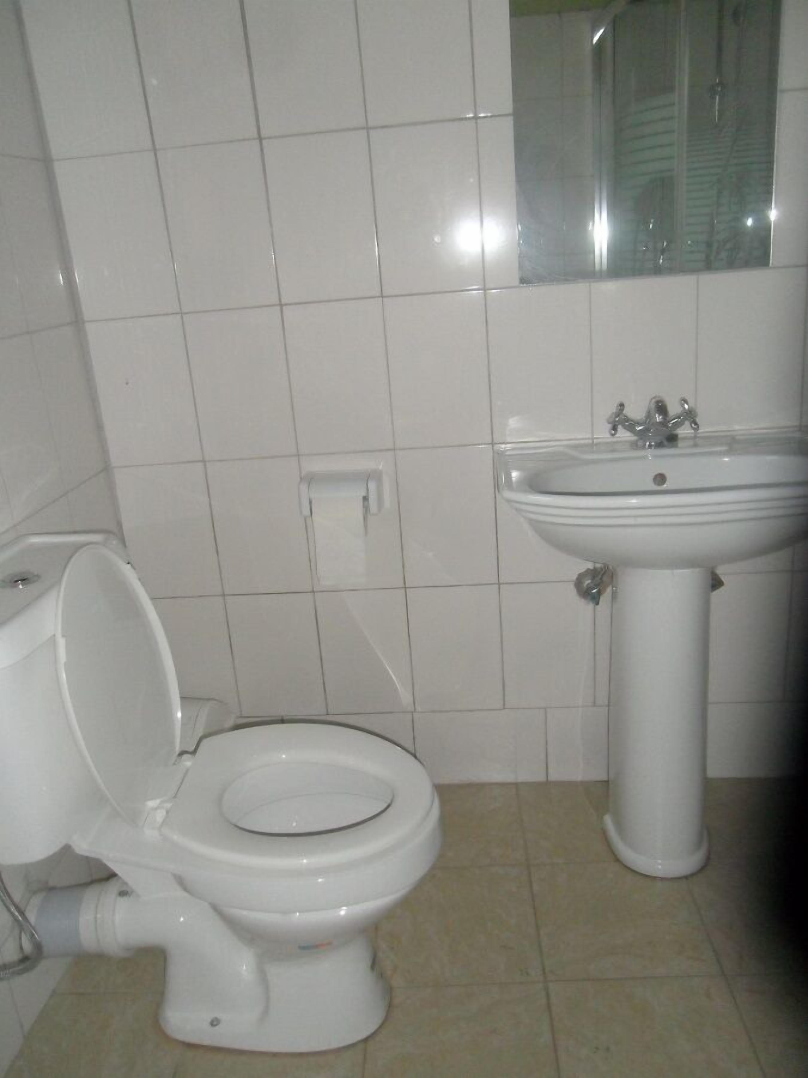 Une salle de bain avec des toilettes et un lavabo.