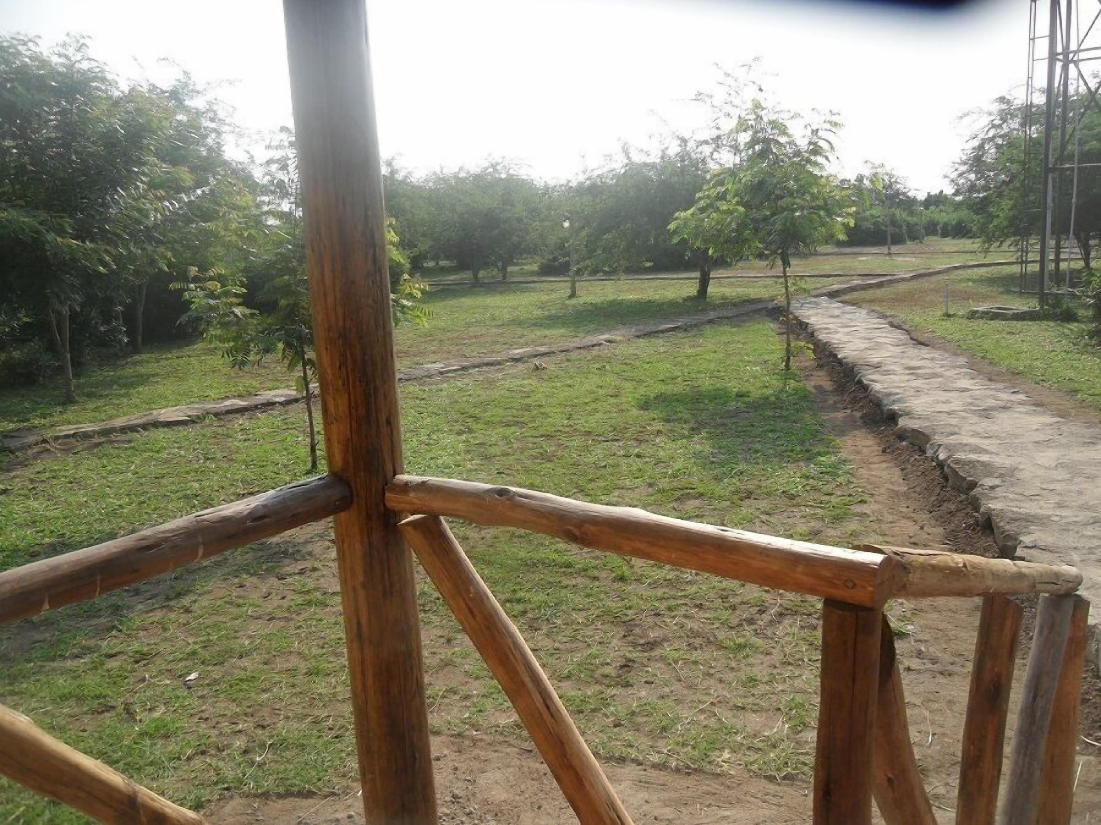 Vista desde la habitación