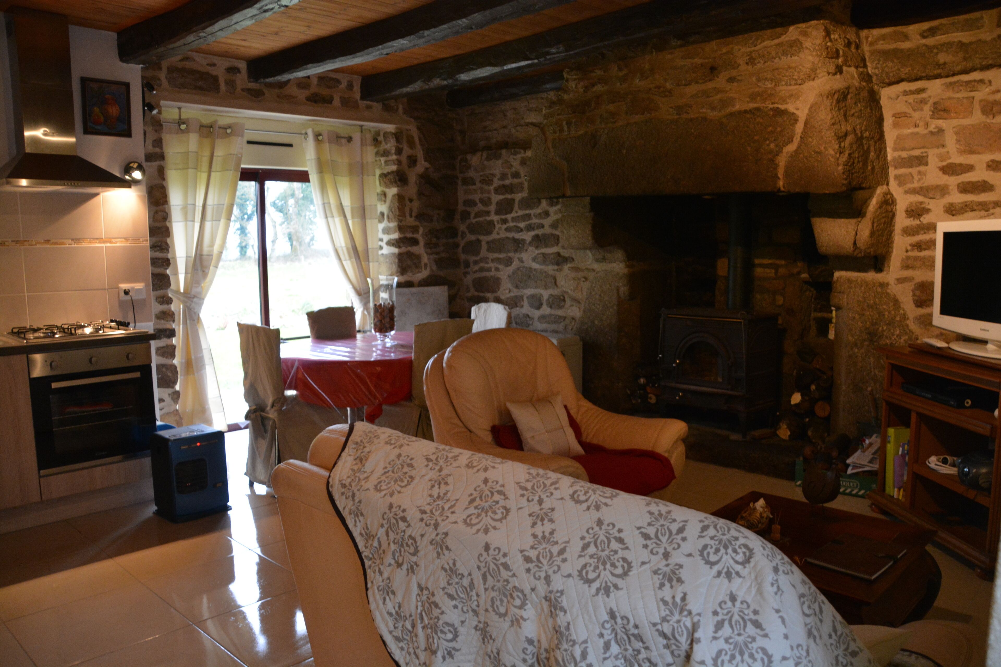 TV, fireplace, DVD player, books