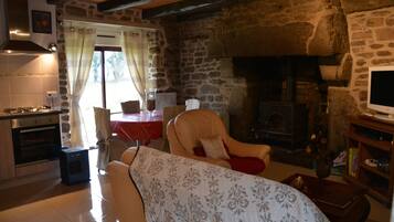 TV, fireplace, DVD player, books