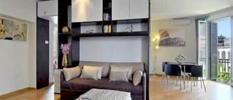 Smart TV, DVD player, books, video library