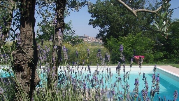 A swimming pool surrounded by lush greenery and lavender plants.