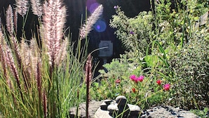 A garden with various plants and rocks. - Suite Luna with a beautiful garden in Historical Quito (Quito)