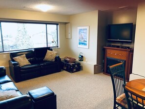 TV, fireplace, DVD player, books
