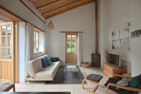 TV connectée, cheminée, livres