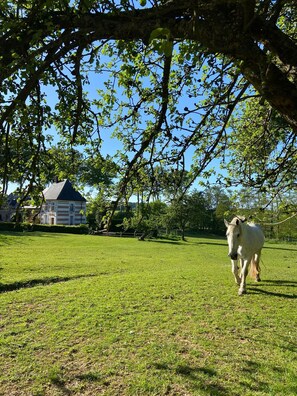 Overnattingsstedets uteområder