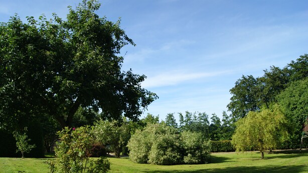 A lush green park with various trees and a well-maintained lawn.