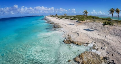 Kas Dos Amigu: By the Ocean, Walk to Downtown, Amazing House Reef