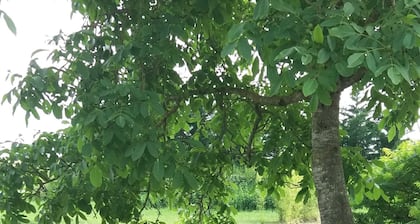 Occitanie, near Albi, in a former agricultural estate, with swimming pool