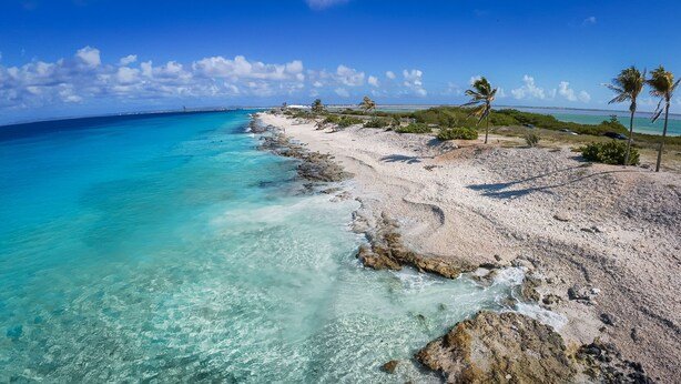 A beach with clear turquoise water, rocky shoreline, and palm trees.