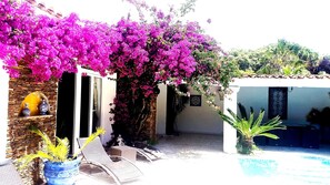 Terassi/patio