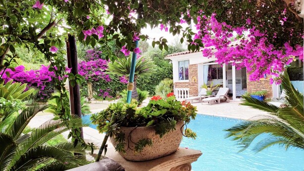 Ein Poolbereich mit einem Haus im Hintergrund, umgeben von üppigem Grün und leuchtend rosa Blüten.