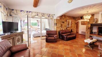 Een televisie, een open haard, een dvd-speler en boeken