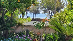 Ein Küstengarten mit vielfältigen Pflanzen und Blumen, einem gepflasterten Weg und Blick auf das Meer.