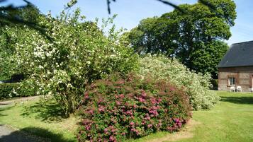 Terrein van de accommodatie