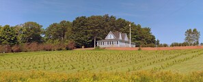 Exterior - Large Century Home with Vineyard. Very private with a grand ocean view.  (Lot 63)