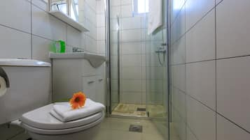 Shower, free toiletries, towels