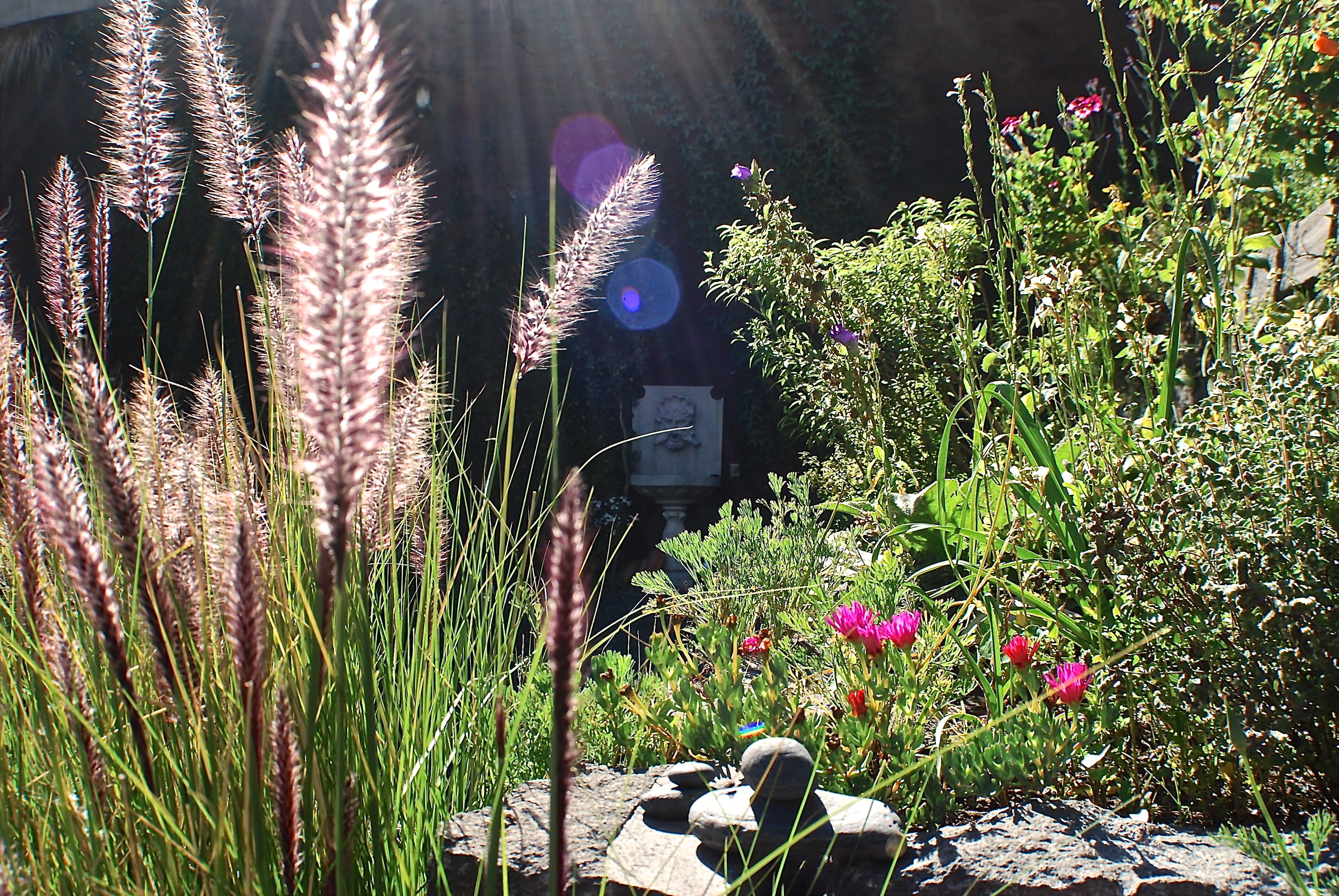 Àrea exterior de l'allotjament