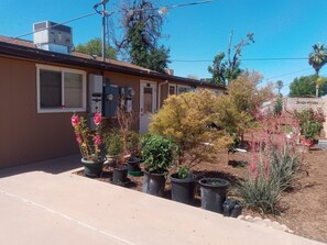 Property grounds - Studio Apt in Tempe. Students/Traveling nurses. Sleeps 2. (TEMPE)