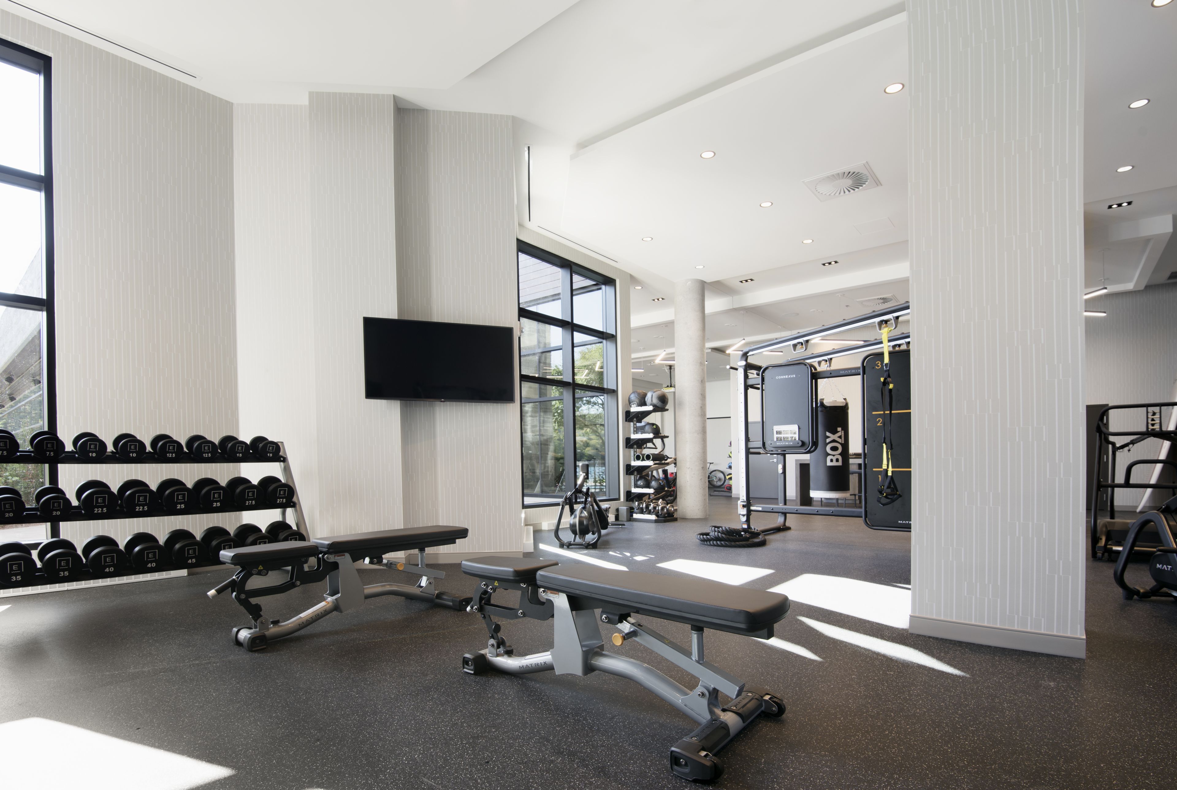 A modern gym with weightlifting equipment, dumbbells, and cardio machines.