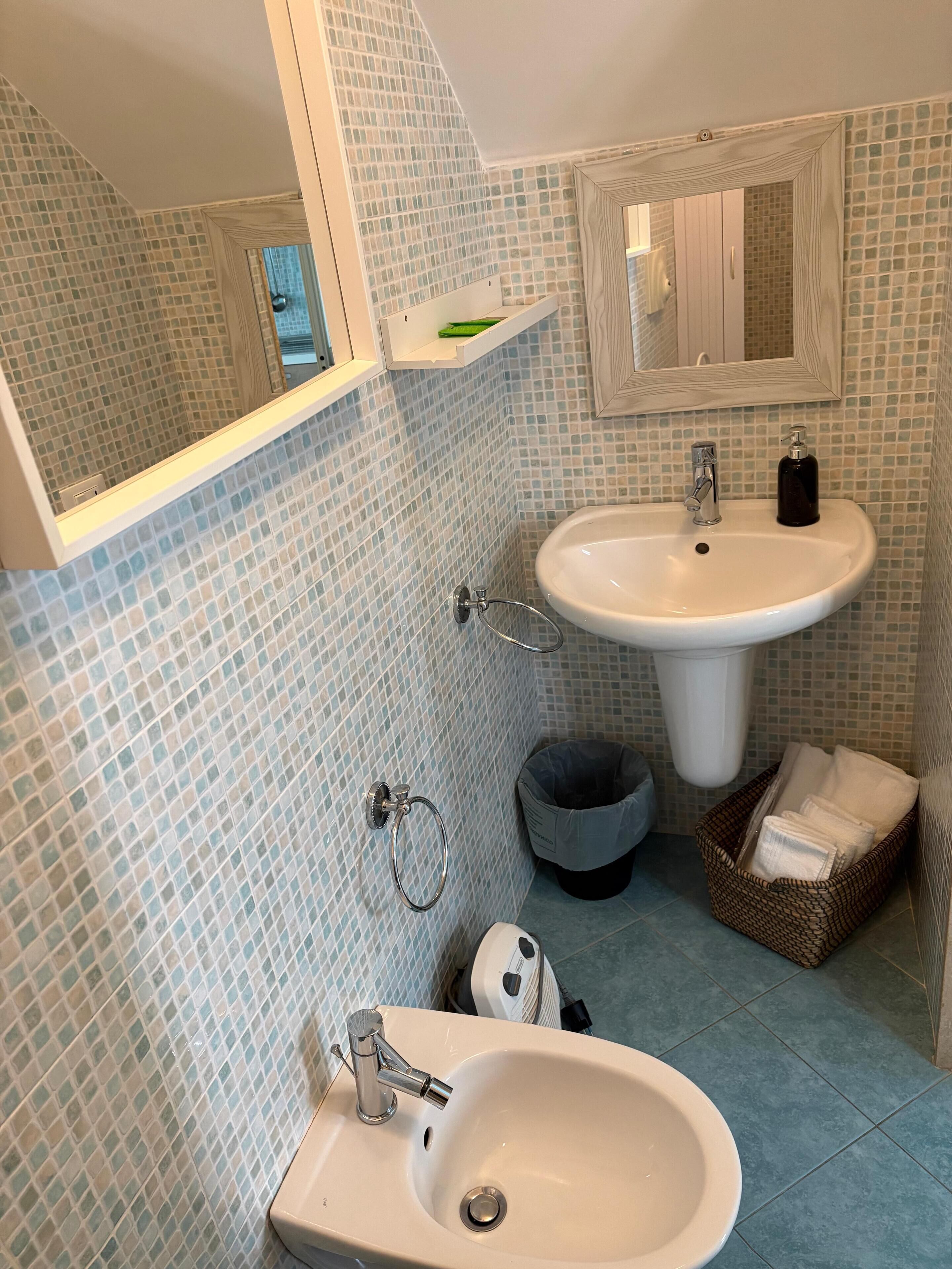 A bathroom with a white sink, a mirror, a bidet, and a small trash bin.