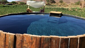Una piscina azul cristalina con bordes de madera, rodeada de vegetación y un paisaje desértico al fondo.