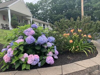 Northeaster Motel
