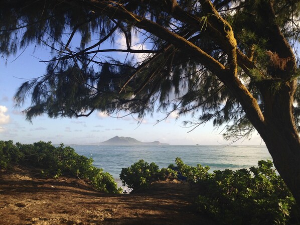 A coastal landscape with a view of the sea and a distant mountain.