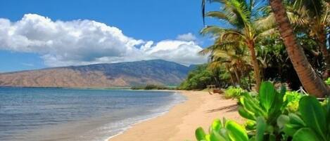 Plage, serviettes de plage