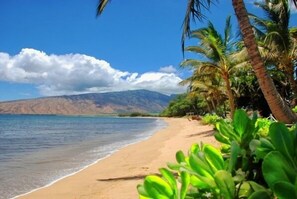 A beach with palm trees and mountains in the background. - Ocean views at Kealia Resort on Sugar Beach! (Kihei)