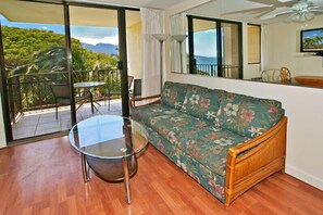 TV, DVD player, books, music library