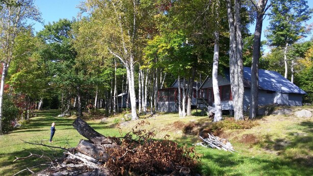 Eine rustikale Holzhütte, umgeben von hohen Bäumen und einem grünen Rasen.