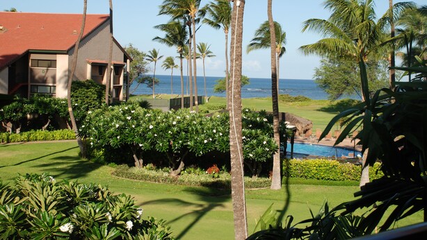 A resort with a pool, palm trees, and a view of the ocean.