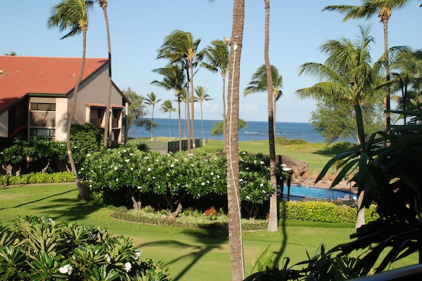 View from lanai