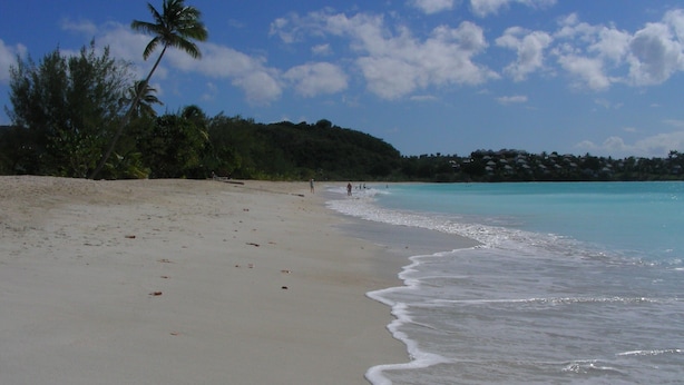 A sandy beach with gentle waves, palm trees, and a clear sky.