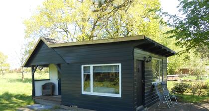 Rustic log cabin / chalet in a quiet location in the middle of nature in East Friesland