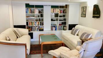 Televisio, takka, DVD-soitin, kirjoja