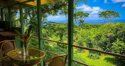 Gingerhill Farm Retreat. Luontoyhteisö Etelä-Kona.