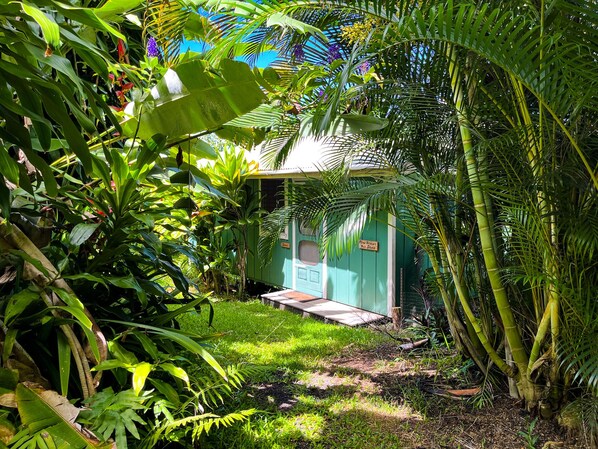 A lush garden with a small building, possibly a guesthouse or private residence, surrounded by dense tropical foliage.