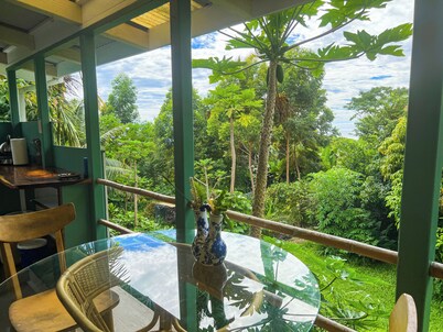 Gingerhill Farm Retreat. Commune with Nature In South Kona.