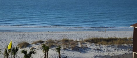 A beach view with palm trees, a sandy shore, and a clear blue sky.