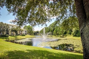 Surrounded by a serene pond with lily pads and a central fountain, this peaceful retreat offers a tranquil atmosphere.