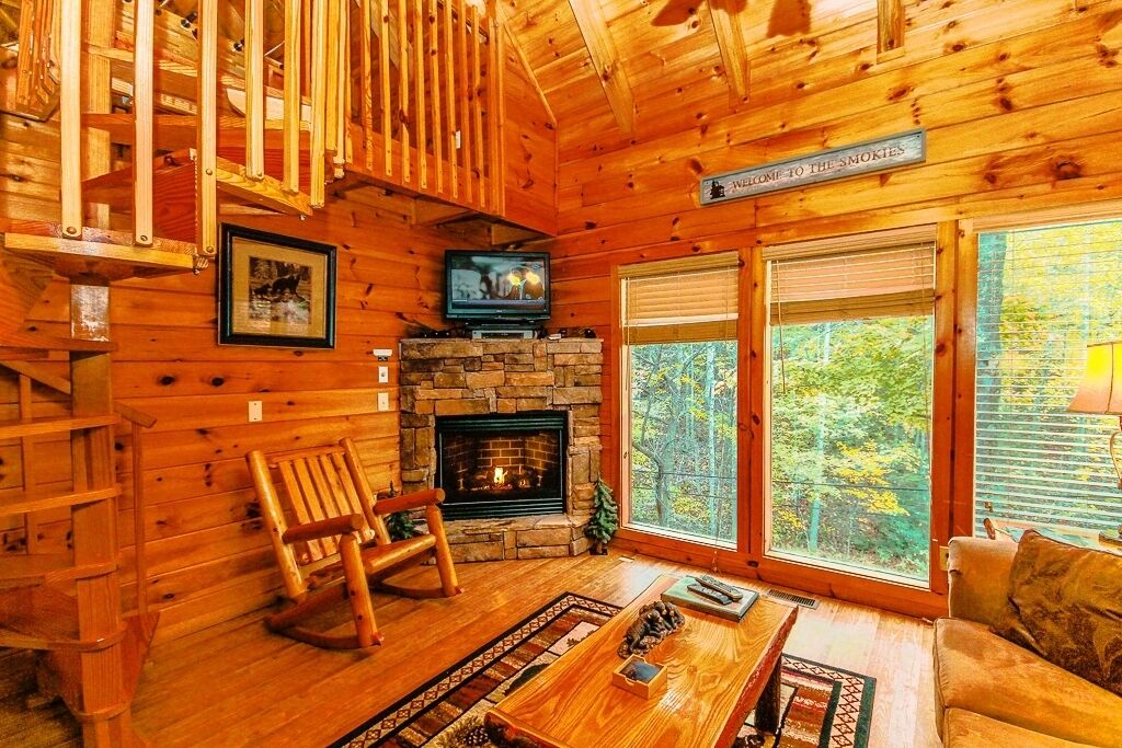 Tv, pejs, videospil, dvd-afspiller